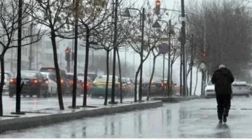 برودة قارسة ليلاً.. شبورة كثيفة تعصف بالطرق الرئيسية شتاء 2025